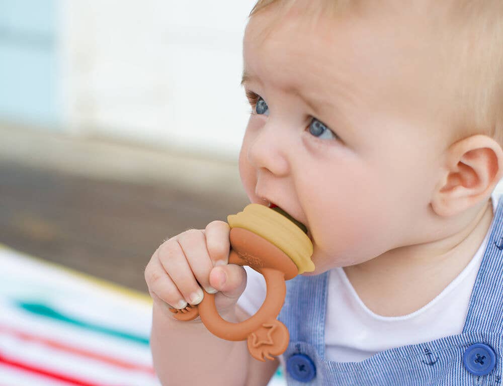 Silicone Fresh Food Feeder: Dusty Rose Sand