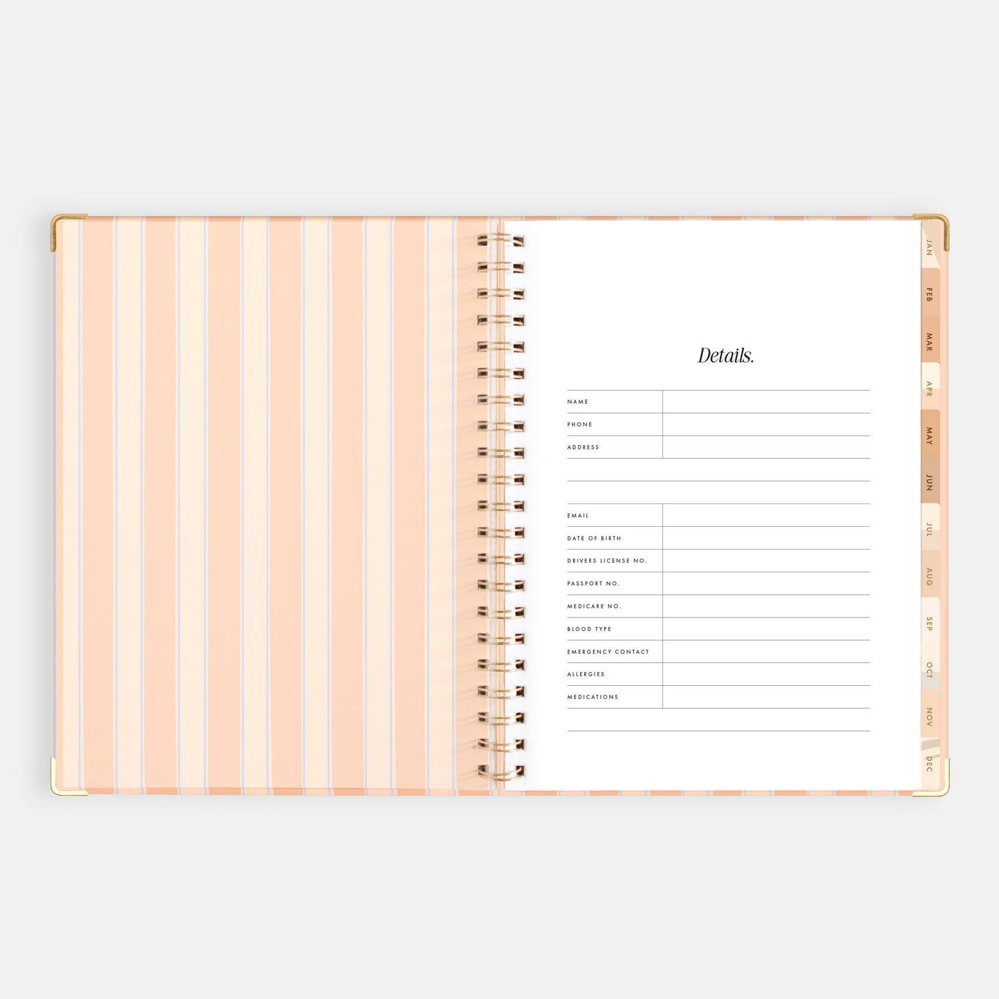 2026 Coral Stripe A4 Academic Vertical Spiral Planner