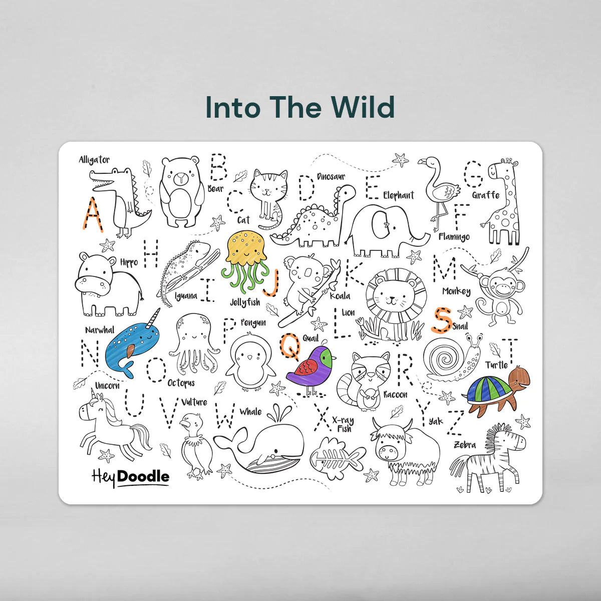 Into the Wild
