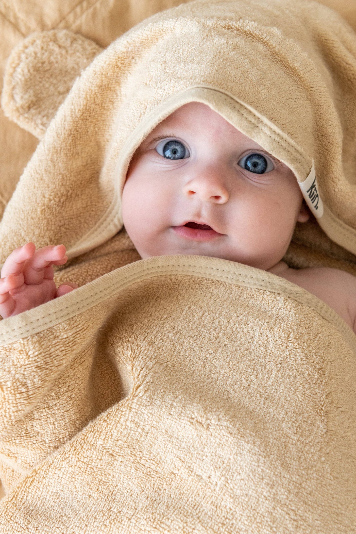 Hooded Towel: Lilac