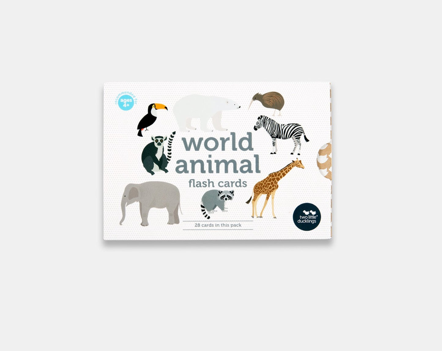 World Animal Flash Cards