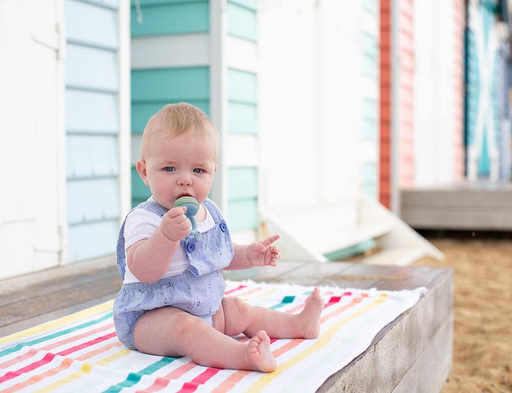 Silicone Fresh Food Feeder: Cerulean Sage