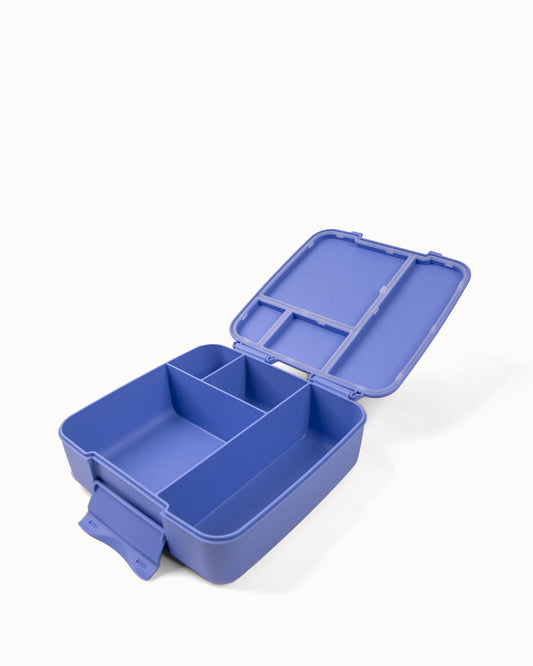 MontiiCo Bento Feast Lunch Box - Splash