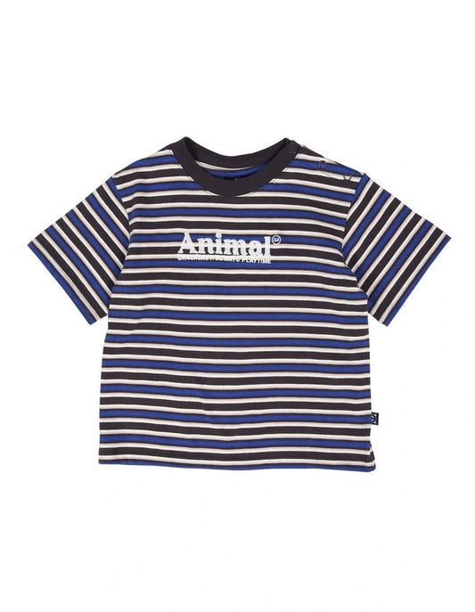 Blaze Tee in Multi