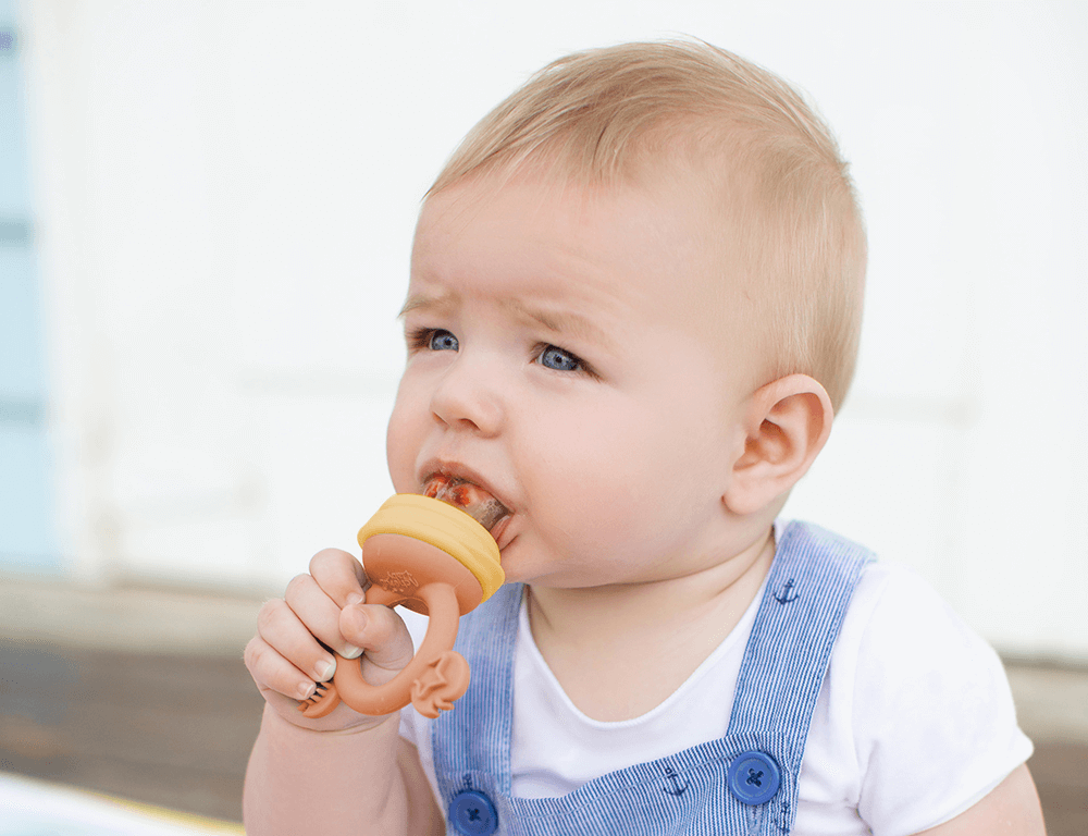 Silicone Fresh Food Feeder: Cerulean Sage