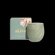Blackcurrant & Caribbean Wood Soy Candle