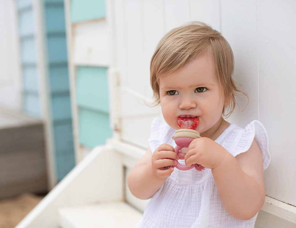 Silicone Fresh Food Feeder: Cerulean Sage