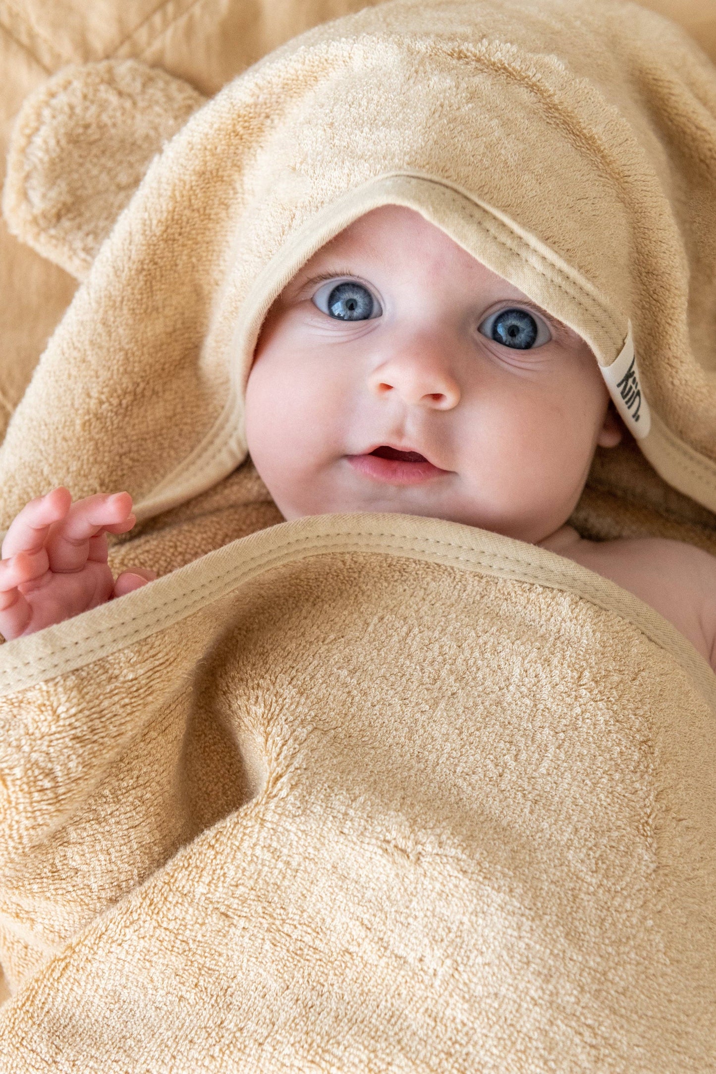 Hooded Towel: Blush