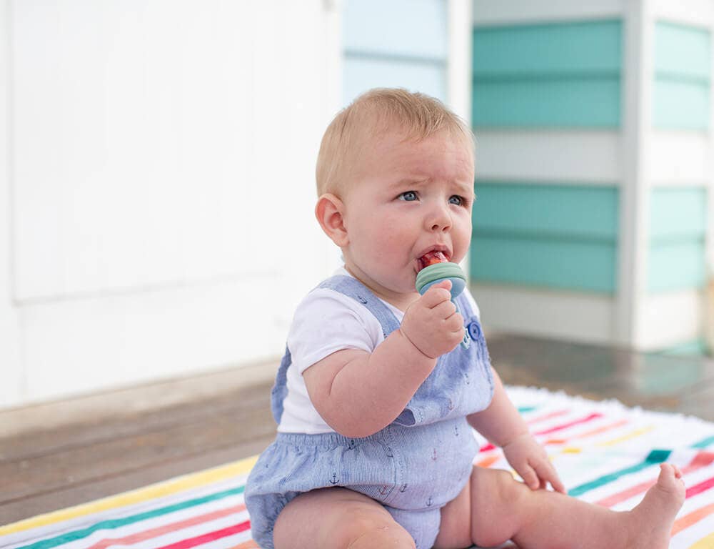 Silicone Fresh Food Feeder: Cerulean Sage