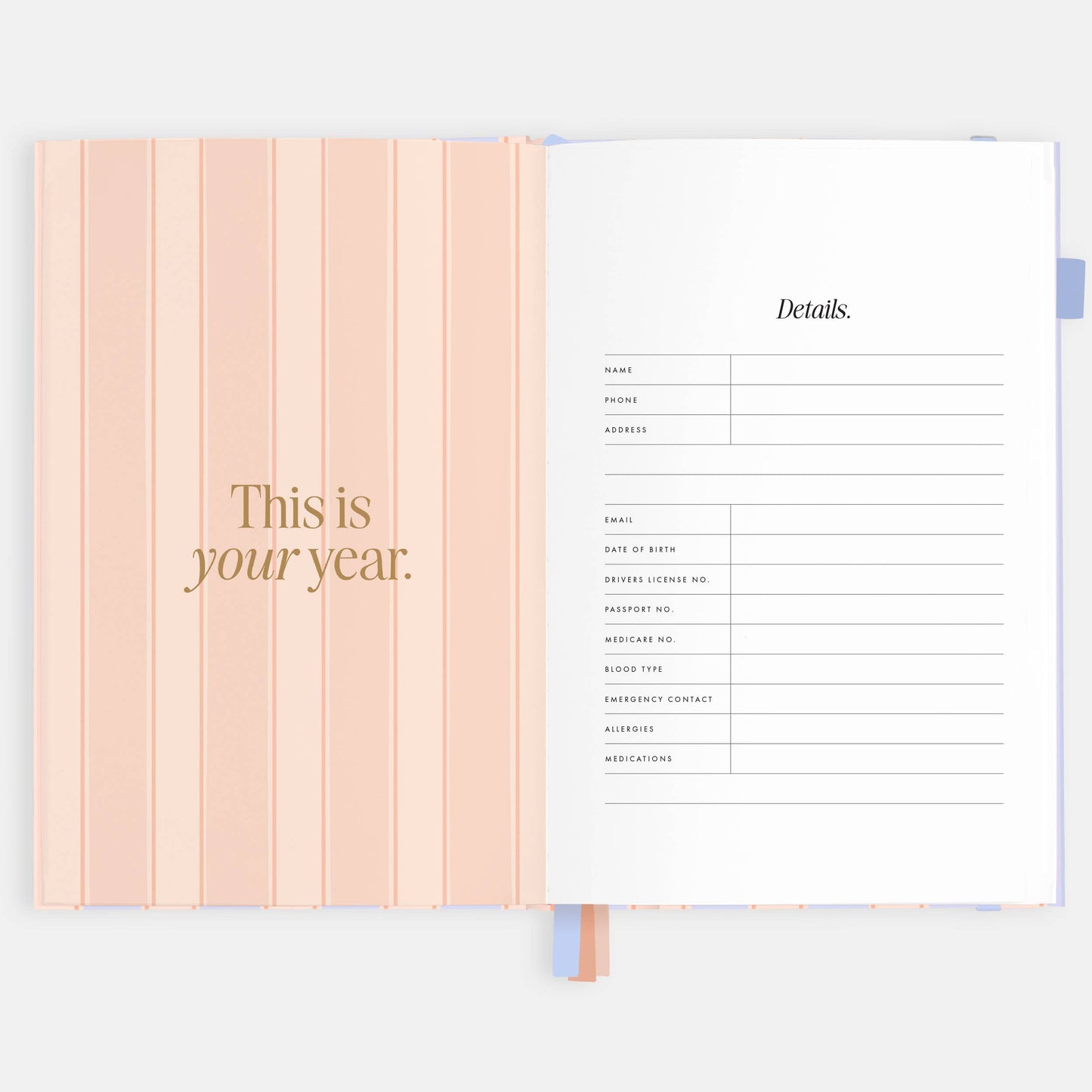 2026 Powder Stripe A5 Academic Vertical Planner